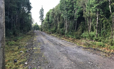 PARCELA 5100 M2 EN VENTA, CON BOSQUE NATIVO, PUERTO VARAS
