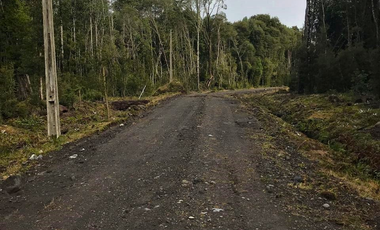 PARCELA 5100 M2 EN VENTA, CON BOSQUE NATIVO, PUERTO VARAS
