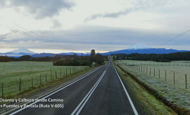 PARCELA 5100 M2 EN VENTA, CON BOSQUE NATIVO, PUERTO VARAS