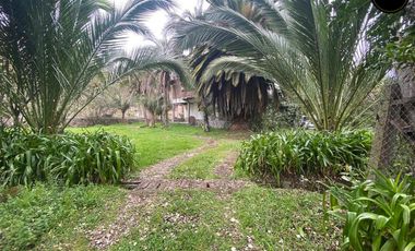 Terreno de venta en El Valle  – código:21945