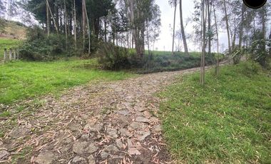 Terreno de venta en El Valle  – código:21945