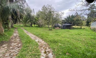 Terreno de venta en El Valle  – código:21945