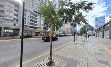 ARRIENDO CENTRICO LOCAL COMERCIAL AMPLIO 290 MTS IRARRAZAVAL