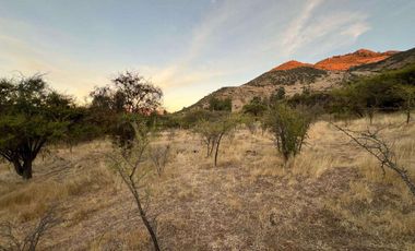 Parcela en Venta - Excelente Ubicación en Lolol, 6ta región