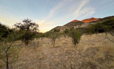 Parcela en Venta - Excelente Ubicación en Lolol, 6ta región