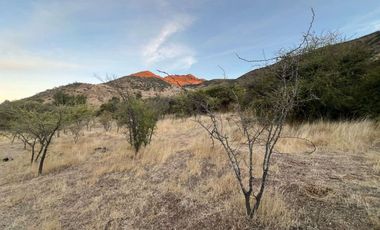 Parcela en Venta - Excelente Ubicación en Lolol, 6ta región