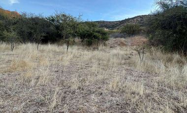 Parcela en Venta - Excelente Ubicación en Lolol, 6ta región