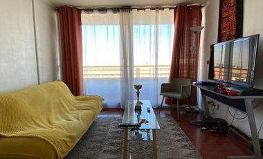 Departamento Estilo Mariposa, metro Camino Agricola, Macul