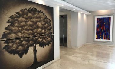 Departamento Renta de Lujo Amueblados, Polanco