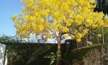 Casa en Venta en Privada Ámbar – Conkal, Yucatán