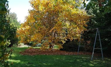 CASA DE CAMPO ENTRE VIÑAS, PANQUEHUE