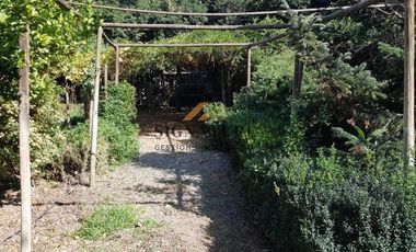 CASA DE CAMPO ENTRE VIÑAS, PANQUEHUE