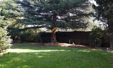 CASA DE CAMPO ENTRE VIÑAS, PANQUEHUE