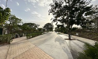 Lote 01 en venta, privada “Entretat” en Tixcuytun.