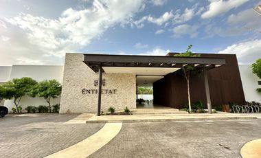 Lote 01 en venta, privada “Entretat” en Tixcuytun.