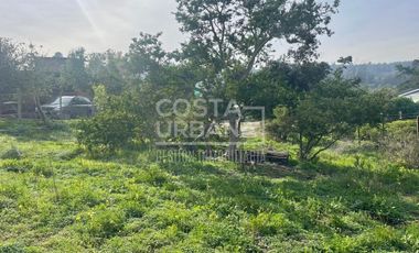 Vende terreno en Los Almendros