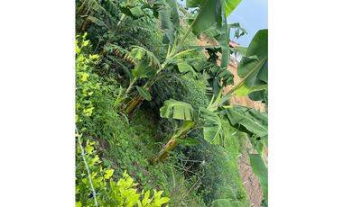 SE VENDE LOTE EN LA ESTRELLA