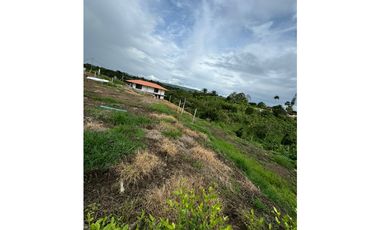 SE VENDE LOTE EN LA ESTRELLA