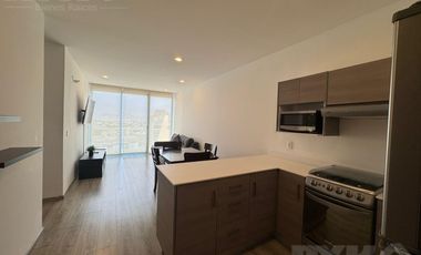 Departamento en Renta Nuevo Sur Torre Gaeta Norte