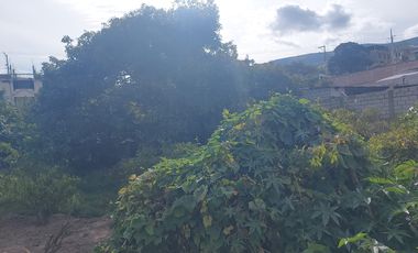 TERRENO EN VENTA