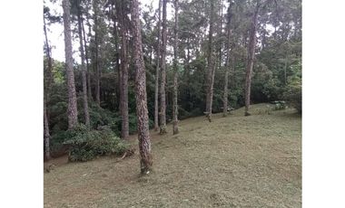 TERRENO / ALTOS DEL MARIA / PIAMONTE / 2432M / PUNTO ALTO