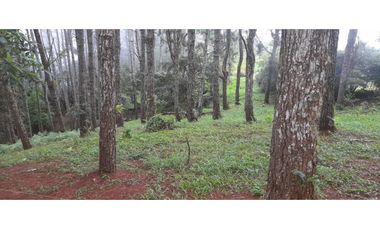 TERRENO / ALTOS DEL MARIA / PIAMONTE / 2432M / PUNTO ALTO