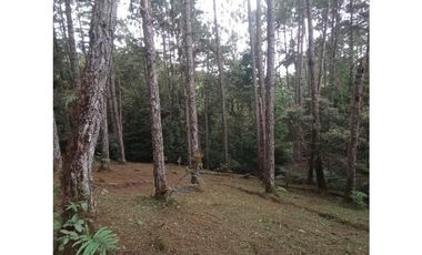 TERRENO / ALTOS DEL MARIA / PIAMONTE / 2432M / PUNTO ALTO