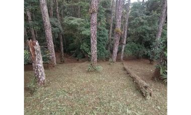 TERRENO / ALTOS DEL MARIA / PIAMONTE / 2432M / PUNTO ALTO