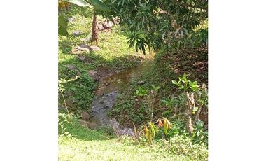 VENTA DE 2 CASAS EN DOLEGA 3,212 METROS