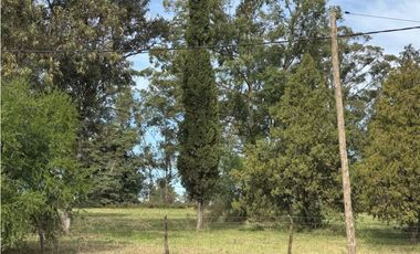 Vendo Lote de 2 hectáreas en Concepción del Uruguay, Entre Ríos.