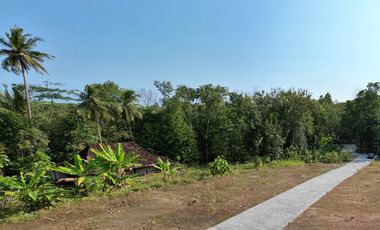 Wates Kota – Jalur Akses Cepat ke Kota & Bandara