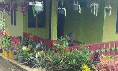 Dijual lahan dan rumah udara dingin