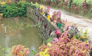 Dijual lahan dan rumah udara dingin