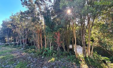 Casa en Arriendo en Colonia La Marca