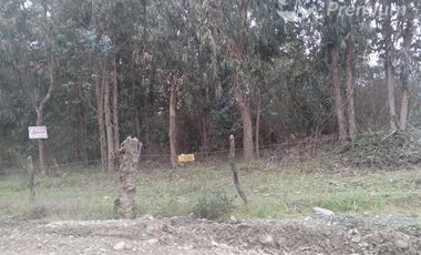 Sitio en Venta en Comuna de Portezuelo, sector de Llahuecuy Hijuela 2 Fundo Culenar