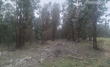 Sitio en Venta en Comuna de Portezuelo, sector de Llahuecuy Hijuela 2 Fundo Culenar