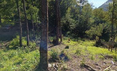 Parcela en Venta en Curarrehue