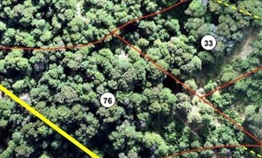 Parcela en Venta en Curarrehue