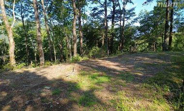 Parcela en Venta en Curarrehue