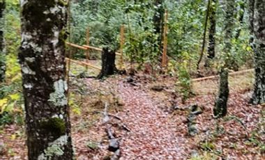 Parcela en Venta en Curarrehue