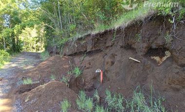 Parcela en Venta en Curarrehue