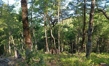 Parcela en Venta en Curarrehue