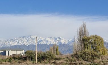 Gran Terreno en Venta Mutual Valle Tupun Agrelo