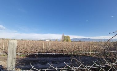 Gran Terreno en Venta Mutual Valle Tupun Agrelo