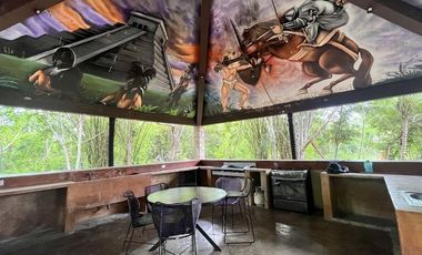 Quinta Estilo Hacienda con Cenote  y Villas a 20 min de Mérida y 25 de Sisal