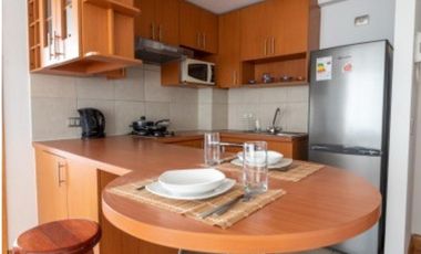 ARRIENDO DEPTO AMOBLADO 1DORM 1BA BELLAVISTA RECOLETA
