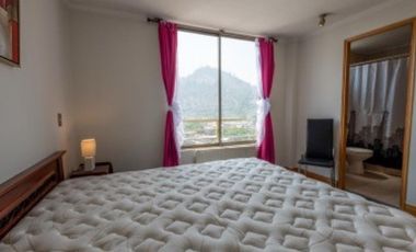 ARRIENDO DEPTO AMOBLADO 1DORM 1BA BELLAVISTA RECOLETA