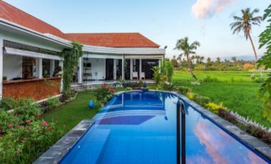 Villa dekat dolphin Lovina beach Singaraja