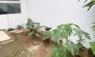 Rumah sewa Pasar Minggu 3+1 kamar dekat kampus LIPIA jakarta selatan