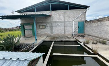 Bodega multiusos a pie de carretera en Venta sobre Carretera Huichapan, Hidalgo.